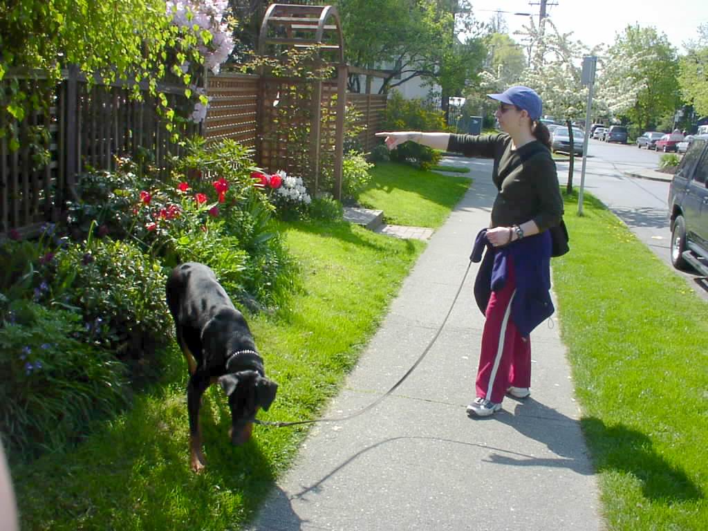 Allan, Aizlynn, Jack walking in Kitsilano 007.jpg